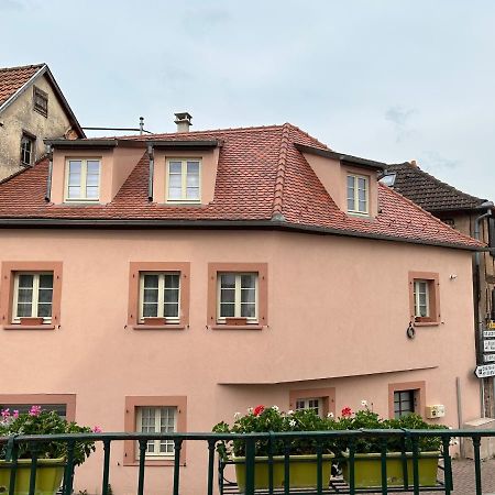 Gite Ma Maison Kintzheim Zewnętrze zdjęcie
