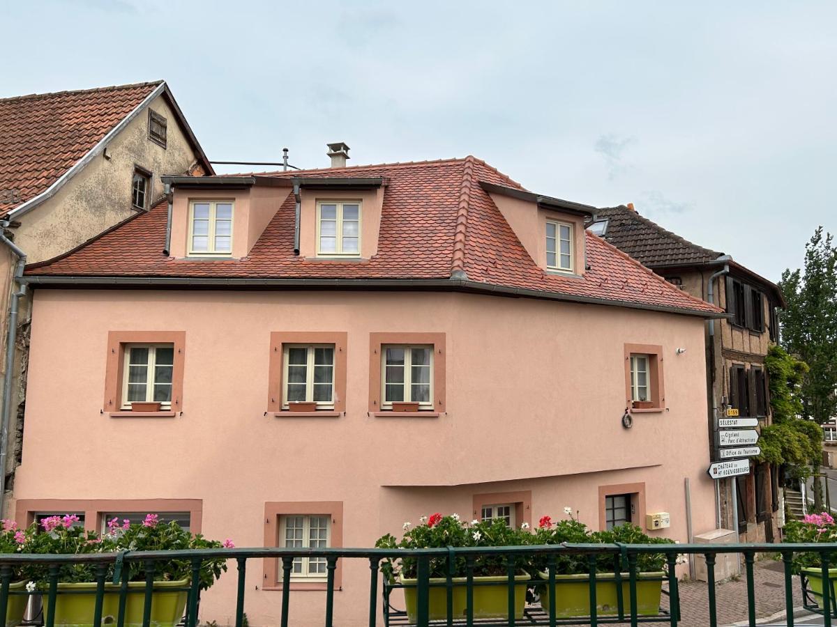 Gite Ma Maison Kintzheim Zewnętrze zdjęcie