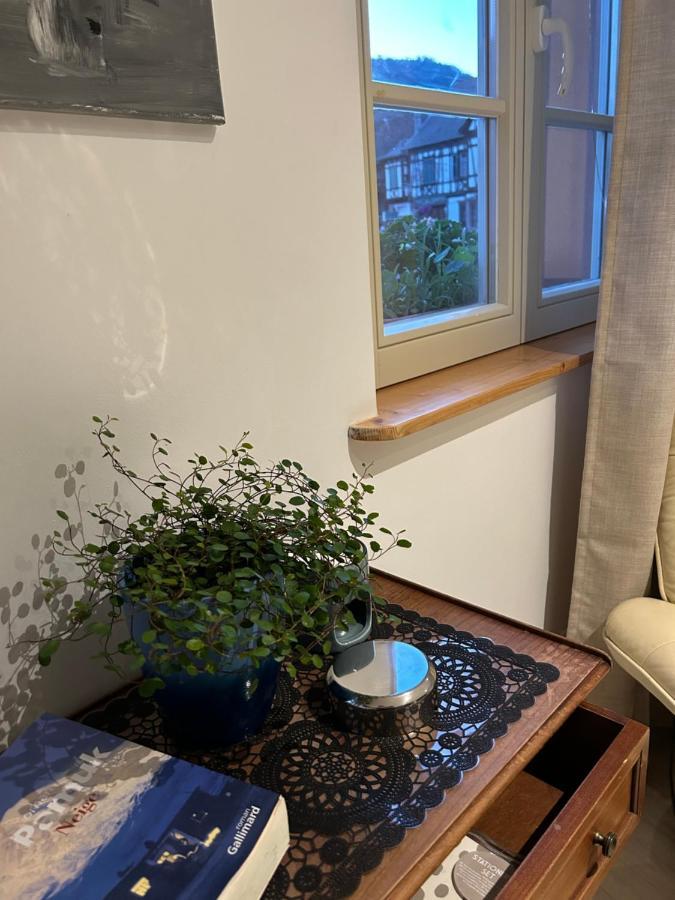 Gite Ma Maison Kintzheim Zewnętrze zdjęcie