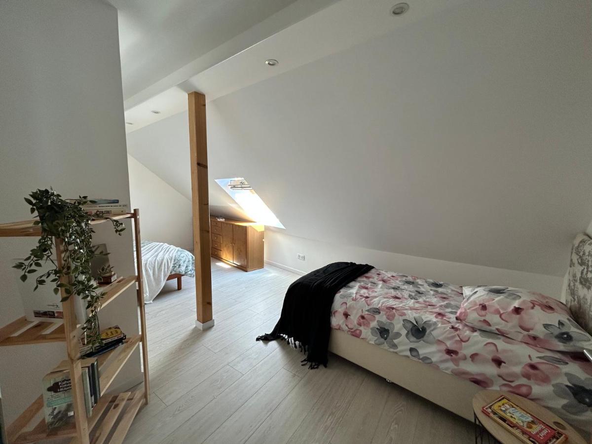 Gite Ma Maison Kintzheim Zewnętrze zdjęcie
